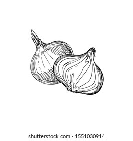 Onion composition in line art style.