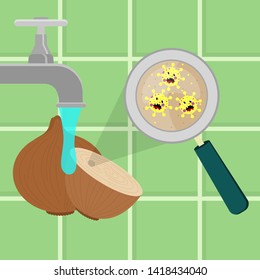 Onion contaminated with cartoon microbes being cleaned and washed in a kitchen. Microorganisms, virus and bacteria in the vegetable enlarged by a magnifying glass. Running tap water.