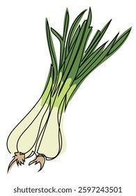 Onion in continuous line drawing style on a white background.