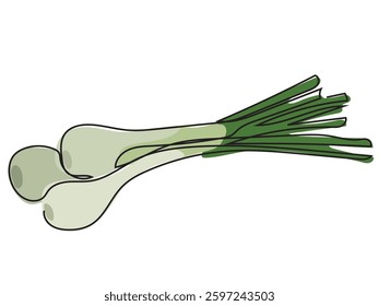 Onion in continuous line drawing style on a white background.
