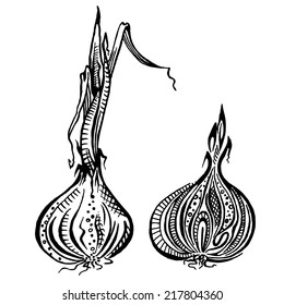 Onion. Is cut. Black and white drawing.