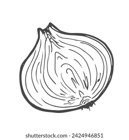 Onion cut into half line icon vector illustration.