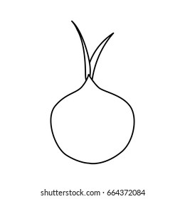 Onion delicious vegetable