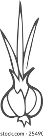 Onion doodle. Spring vegetable icon. Cooking ingredient