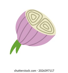 Onion in doodle style. Vegetable food and harvest. Simple drawing. Half Spicy onion. Cartoon Sliced Leek bulb