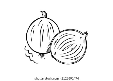 The onion is drawn with a black outline. Vector graphics, sketch