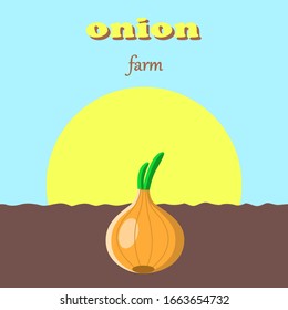 Onion farm poster. Onions, agriculture, onion harvest, vegetables, vegetable garden . Onions grow in the ground against the bright sun and blue sky.