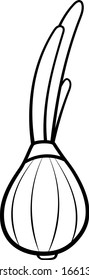Onion with feathers in black lines isolated illustration. White background, vector.