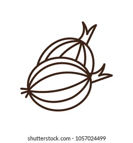 onion flat icon