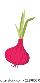 Onion flat icon Borscht preparation Soup ingredients