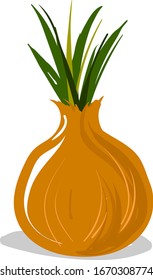 Zwiebelwohnung, Illustration, Vektorillustration auf weißem Hintergrund.