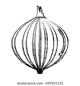 onion fresh isolated icon