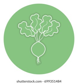 onion fresh isolated icon