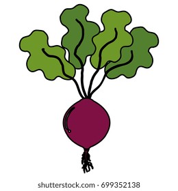 onion fresh isolated icon