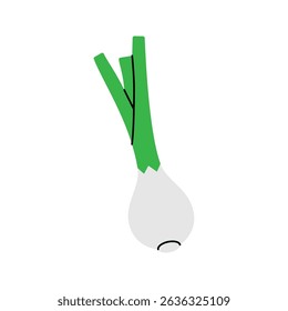 Onion. Fresh organic vegetable. Vector illustration