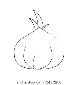Onion fresh vegetable