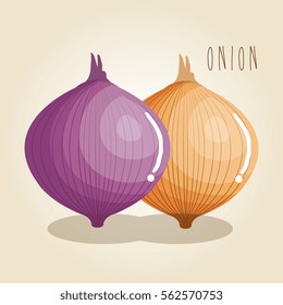 onion fresh vegetable icon