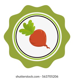 onion fresh vegetable icon
