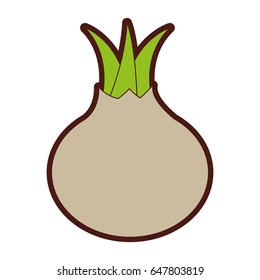 onion fresh vegetable icon