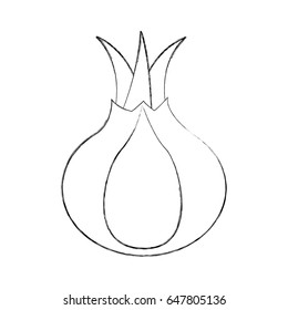 onion fresh vegetable icon