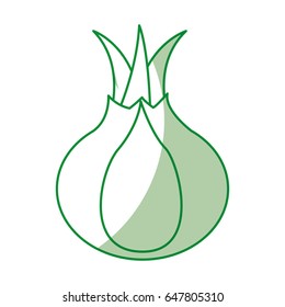 onion fresh vegetable icon