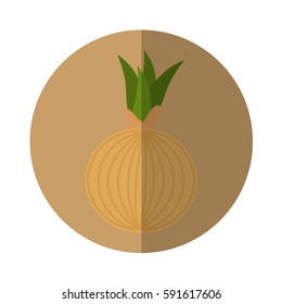 onion fresh vegetable isolated icon