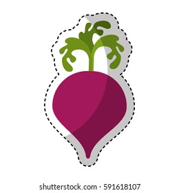 onion fresh vegetable isolated icon
