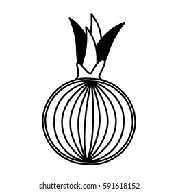 onion fresh vegetable isolated icon