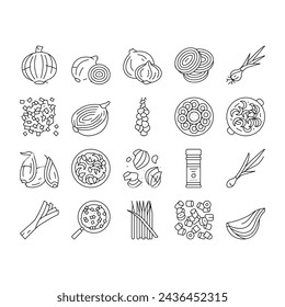 Onion Fresh Vitamin Vegetable Icons Set Vector. White And Purple Onion, Growing Green And Shallot. Harvesting Ripe Eatery Bio Plant For Flavoring Meal And Salad Black Contour Illustrations