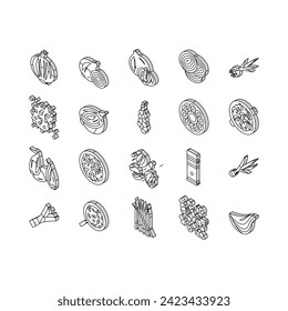 Onion Fresh Vitamin Vegetable isometric icons set. White And Purple Onion, Growing Green And Shallot. Harvesting Ripe Eatery Bio Plant For Flavoring Meal And Salad Color