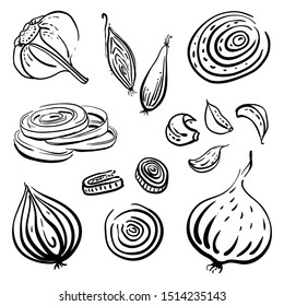 Onion, garlic, bulbs and cloves, halved, sliced. Set of vegetables in sketchy style isolated on white background. Doodle hand drawn vegetables in black and white. Vector illustration