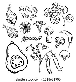 Onion, garlic, cherry tomatoes, hot pepper, mushrooms, squash... Set of vegetables in sketchy style isolated on white background. Doodle hand drawn vegetables in black and white. Vector illustration