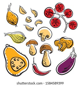 Onion, garlic cloves, cherry tomatoes, hot pepper, mushrooms, squash, eggplant. Colorful sketch of vegetables isolated on white background. Doodle hand drawn vegetables. Vector illustration