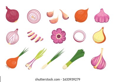 Onion and garlic different vector icons set. Fresh cartoon organic whole and sliced onions vegetable collection.