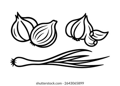 Onion Garlic and Scallion Vector Line Art Illustration for Culinary Designs and Food Projects