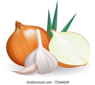 Onion and garlic. Vector illustration on white background.