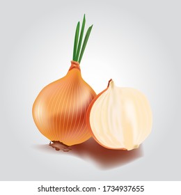 Gráfico de cebolla sobre fondo blanco