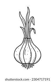 Onion with green feathers icon, doodle single, vector vegetable on a white background.