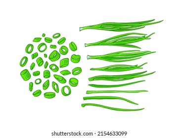 Onion green leaves, doodle set Vector texture engraving of verdure bunch. Chopped chive, spring harvest. Graphic collection