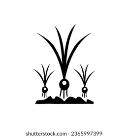 Crecimiento de cebolla en el suelo icono aislado en fondo blanco
