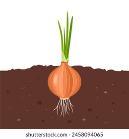 Onion growing in soil. Vector cartoon flat illustration of garden vegetable.