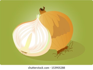 onion and a half on green background