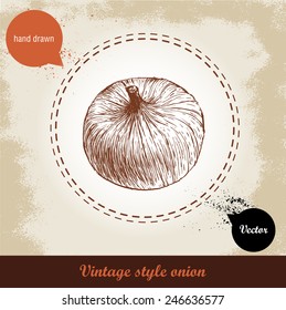 Onion hand drawn illustration. Vintage retro background with hand drawn sketch onion. Herbs and spices vector illustration