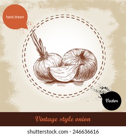 Onion hand drawn illustration. Vintage retro background with hand drawn sketch onions. Herbs and spices vector illustration