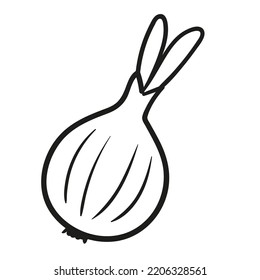 Cebolla. Ilustración vectorial dibujada a mano.