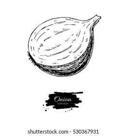 Onion hand drawn vector illustration. Isolated Vegetable engraved style object. Half cutout piece. Detailed vegetarian food drawing. Farm market product. Great for menu, label, icon