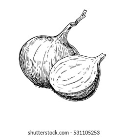 Ilustración vectorial dibujada a mano de cebolla. Objeto de estilo esculpido aislado. Corte completa y media. Dibujo detallado de comida vegetariana. Producto del mercado agrícola. Excelente para menú, etiqueta, icono