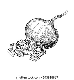 Onion hand drawn vector illustration. Isolated Vegetable engraved style object. Full and heap of cutout slice. Detailed vegetarian food drawing. Farm market product. Great for menu, label, icon