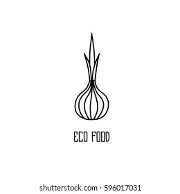 Onion hand drawn vector illustration. 