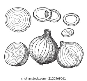 Onion hand drawn vector set. Full, rings and half cutout slice. Outline ink slyle sketch.